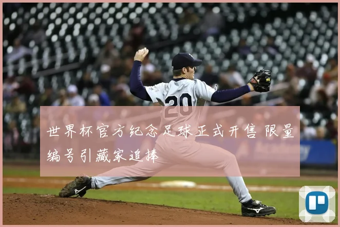 世界杯官方纪念足球正式开售 限量编号引藏家追捧