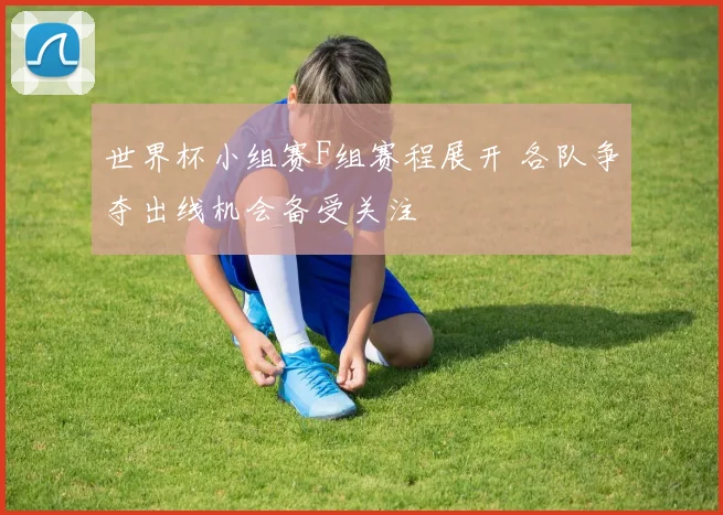 世界杯小组赛F组赛程展开 各队争夺出线机会备受关注
