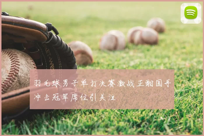 羽毛球男子单打决赛激战正酣国手冲击冠军席位引关注