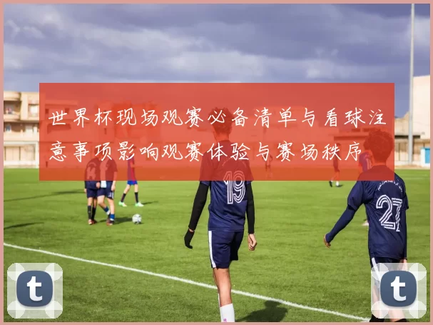 世界杯现场观赛必备清单与看球注意事项影响观赛体验与赛场秩序